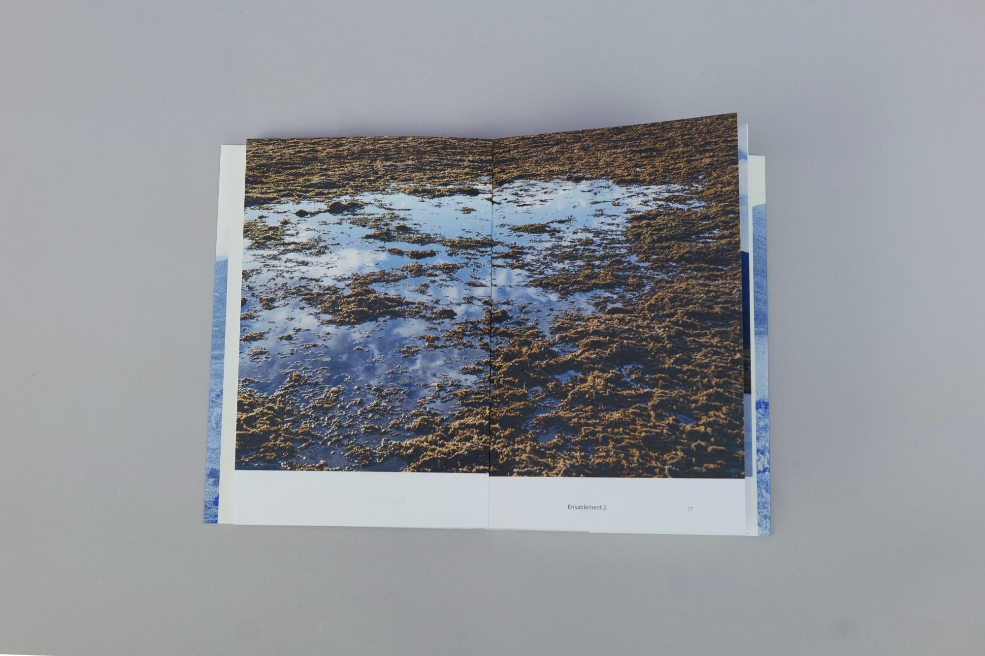 lac_media_04